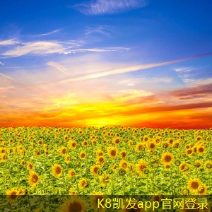 網(wǎng)絡(luò)布線(xiàn)的安全性與防護(hù)措施