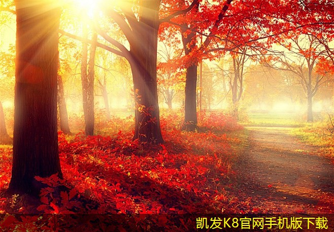 網(wǎng)絡布線的環(huán)保材料選擇