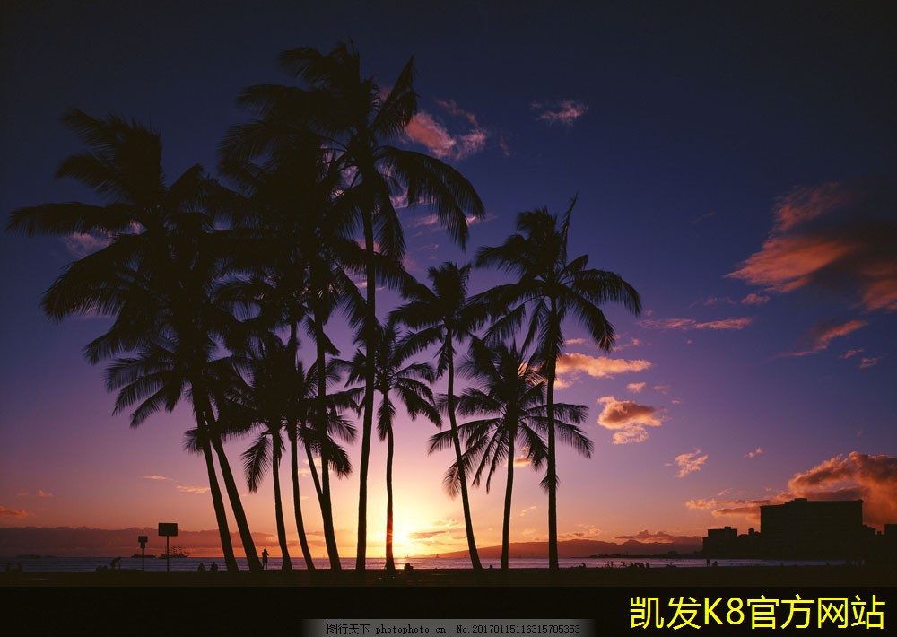 背景音樂與社群運(yùn)營的成功案例