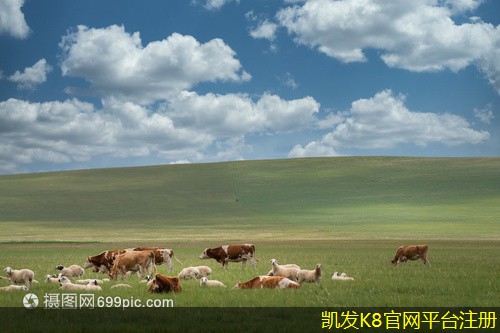 背景音樂如何提升在線課程的吸引力