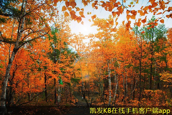 視頻會(huì)議如何提升銷(xiāo)售團(tuán)隊(duì)的業(yè)績(jī)
